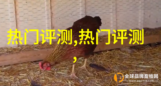 珍珠耳环长款搭配什么样的脸型和发型才更加好看