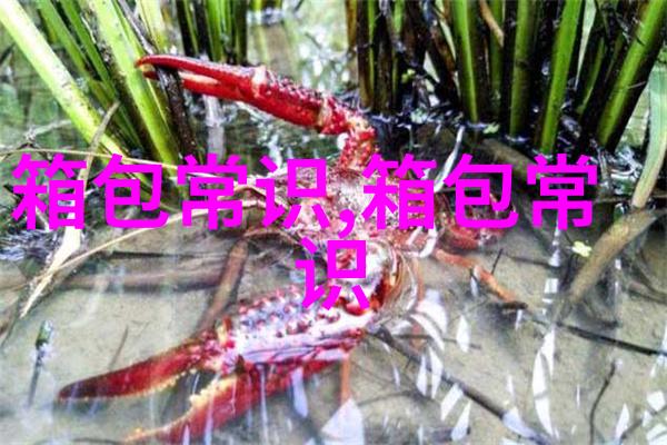 探索时尚与实用的完美结合fenni女包的魅力